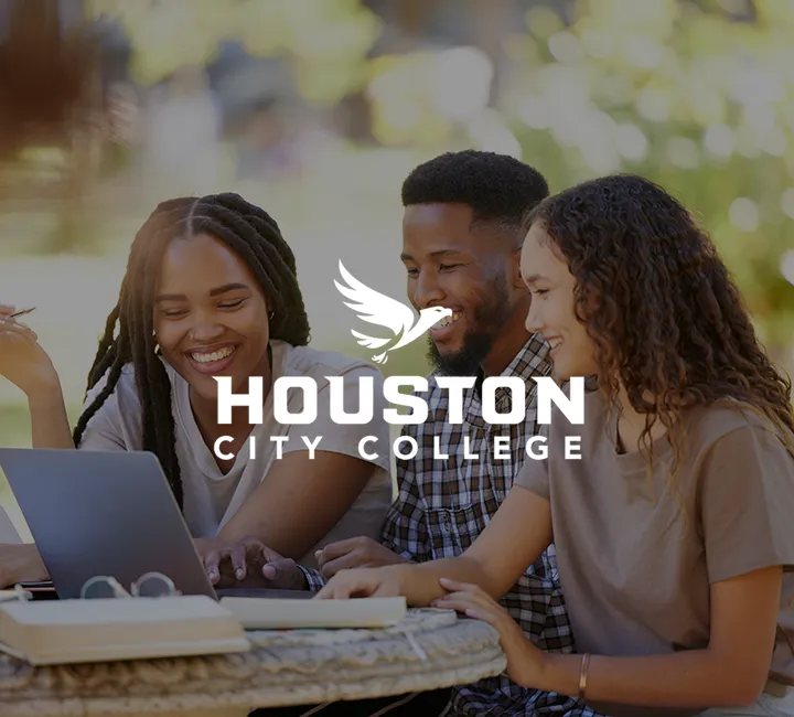 Houston City College
